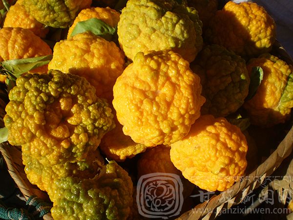 西部太陽谷 得榮原生態(tài)美食 西部太陽谷 得榮原生態(tài)美食