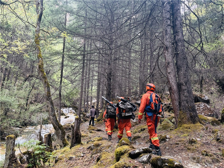 澤仁歐珠.jpg 澤仁歐珠.jpg