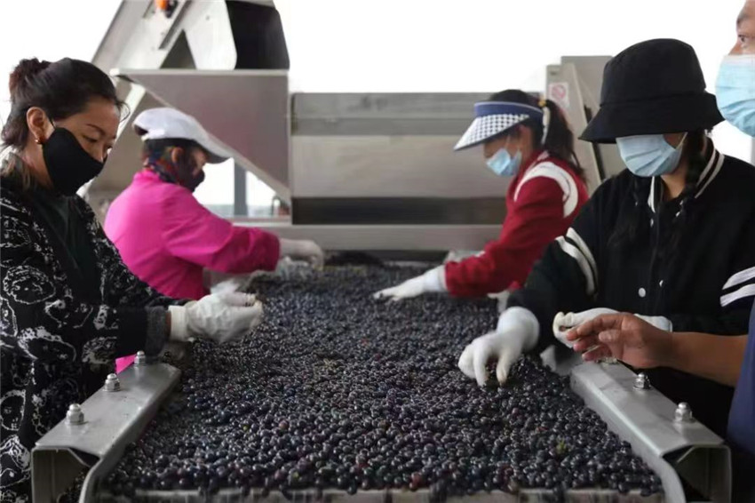 加工廠.jpg 加工廠.jpg